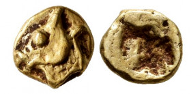 Ionia. Phokaia. 1/48 stater. 625/0-522 BC. (Sng von Aulock-7946 var). El. 0,30 g. Rare. Choice VF. Est...350,00. 

Spanish Description: Ionia. Phoka...