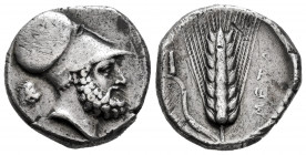 Lucania. Metapontion. Stater. 340-330 BC. (Sng Ans-432/42). Anv.: Helmeted head of Leukippos right; behind, forepart of lion. Rev.: Ear of barley with...