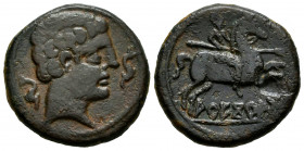 Areikoratikos-Arekoratas. Unit. 150-20 BC. Agreda (Soria). (Abh-116). Anv.: Male head right with two dolphins. Rev.: Horseman right, holding spear, le...