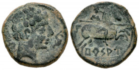 Bursau. Unit. 120-80 BC. Borja (Zaragoza). (Abh-301). Anv.: Male head right, dolphin before, iberian letter BU behind. Rev.: Horseman right, holding s...