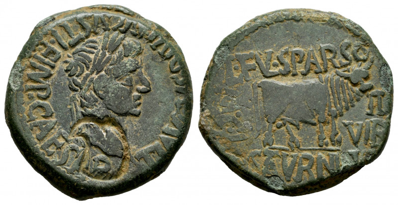 Calagurris. Time of Tiberius. Unit. 14 - 36 BC. Calahorra (La Rioja). (Abh-429)....