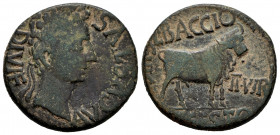 Kelse-Celsa. Augustus period. Unit. 27 BC - 14 AD. Velilla de Ebro (Zaragoza). (Abh-809). Anv.: AVGVSTVS. DIVI. F. Laureate head of Augustus right. Re...