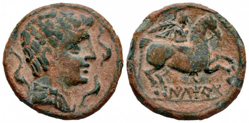 Iltirta. Unit. 200-20 BC. Lleida (Cataluña). (Abh-1465). (Acip-1251). Anv.: Male...