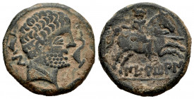 Nertobis. Unit. 120-20 BC. Calatorao (Zaragoza). (Abh-1772). (Acip-1603). (C-3). Anv.: Bearded head, dolphin before, dolphin and iberian letter N behi...