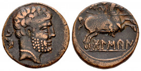 Bolskan. Unit. 180-20 BC. Huesca. (Abh-1918). Anv.: Bearded head right, dolphin behind. Rev.: Horseman right, holding spear, star above, iberian legen...