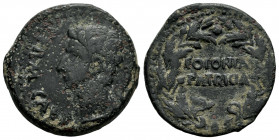 Colonia Patricia. Augustus period. Unit. 27 BC - 14 AD. Córdoba. (Abh-1989). (Acip-3357). Anv.: PERM. CAES. (AVG) around head of Augustus left. Rev.: ...
