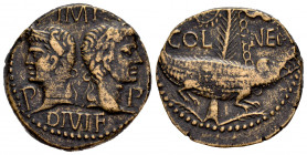 Augustus and Agrippa. Unit. 10 BC - 10 AD. Nemausus, Gaul. (RPC-I 525). (Ric-I 159). (Sng Cop-700/1). Anv.: IMP above, DIVI F below; back to back laur...