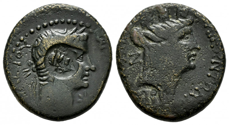 Caligula. AE 23. 37-41 AD. Seleucis and Pieria. Laodicea ad Mare. (RPC-4444.6). ...