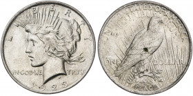 Estados Unidos. 1923. Filadelfia. 1 dólar. (Kr. 150). AG. 26,77 g. EBC.