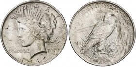 Estados Unidos. 1923. Filadelfia. 1 dólar. (Kr. 150). AG. 26,71 g. EBC+.