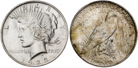 Estados Unidos. 1923. Filadelfia. 1 dólar. (Kr. 150). AG. 26,69 g. EBC+.