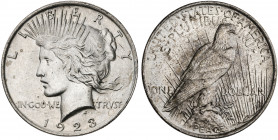 Estados Unidos. 1923. Filadelfia. 1 dólar. (Kr. 150). AG. 26,76 g. EBC+.