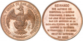 1880. Alfonso XII. Ferrocaril y minas de San Juan de las Abadesas. Medalla. (V.Q. 14407) (Cru.Medalles 680a). Bronce. 77,36 g. Ø54 mm. EBC+.