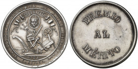 s/d (hacia 1920). Santiago de Compostela. Premio de la Sociedad Económica de Amigos del País, fundada en 1784. Medalla. Grabador: Castells. Pátina. Mu...