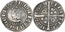 Jaume II (1291-1327). Barcelona. Croat. (Cru.V.S. 337 var) (Cru.C.G. 2154 var) (Badia falta). A y U góticas. Raro error en leyenda. 3,03 g. MBC.