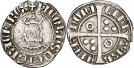 Jaume II (1291-1327). Barcelona. Croat. (Cru.V.S. 337 var) (Cru.C.G. 2154h) (AN. 19, pág 145, nº 84A, mismo ejemplar). A y U góticas. La A de -TASB- a...
