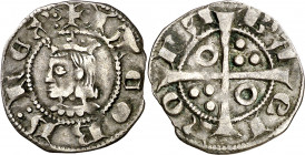 Jaume II (1291-1327). Barcelona. Diner. (Cru.V.S. 344 var) (Cru.C.G. 2160 var). A y U góticas. Raro error en leyenda. Atractiva. Rara y más así. 0,86 ...