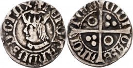Ferran II (1479-1516). Barcelona. Mig croat. (Cru.V.S. 1148.1 (fotografiado como 1148, mismo ejemplar)) (Cru.C.G. 3079, mismo ejemplar). Ex Colección ...