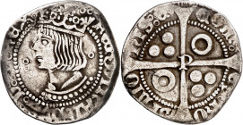 Ferran II (1479-1516). Perpinyà. Croat. (Cru.V.S. 1153 var) (Cru.C.G. 3073 var). Busto entre anillos. Muy rara. 3 g. MBC-.