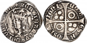 Ferran II (1479-1516). Perpinyà. Croat. (Cru.V.S. 1156) (Cru.C.G. 3075h) (Badia 922, mismo ejemplar). Ex Colección Ègara 26/04/2017, nº 558. Ex Colecc...