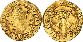 Ferran II (1479-1516). València. Ducat. (Cru.V.S. 1208 var) (Cru.C.G. 3118a). Muy bella. Brillo original. Rara y más así. 3,49 g. EBC+.