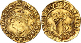 Ferran II (1479-1516). València. Ducat. (Cru.V.S. 1211 var) (Cru.C.G. 3120). Bella. Preciosa pátina. Rara y más así. 3,47 g. EBC/EBC+.