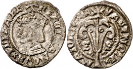 Ferran II (1479-1516). València. Diner. (Cru.V.S. 1215 var) (Cru.C.G. 3126 var). Bella. Rara así. 0,65 g. MBC+/EBC-.