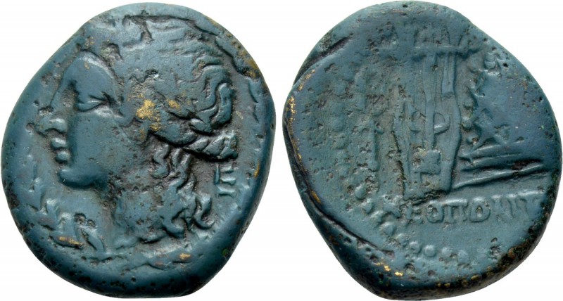 CAMPANIA. Neapolis. Ae (Circa 250-225 BC). 

Obv: Laureate head of Apollo left...
