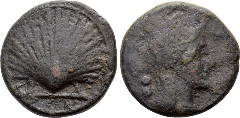 APULIA. Luceria. Ae Biunx (Circa 211-200 BC). 

Obv: Veiled and wreathed head ...