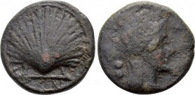 APULIA. Luceria. Ae Biunx (Circa 211-200 BC).