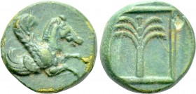 TROAS. Skepsis. Ae (4th-3rd centuries BC).