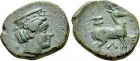 TROAS. Zeleia. Ae (4th century BC).