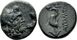 PAMPHYLIA. Attaleia. Ae (Circa 159-100 BC).