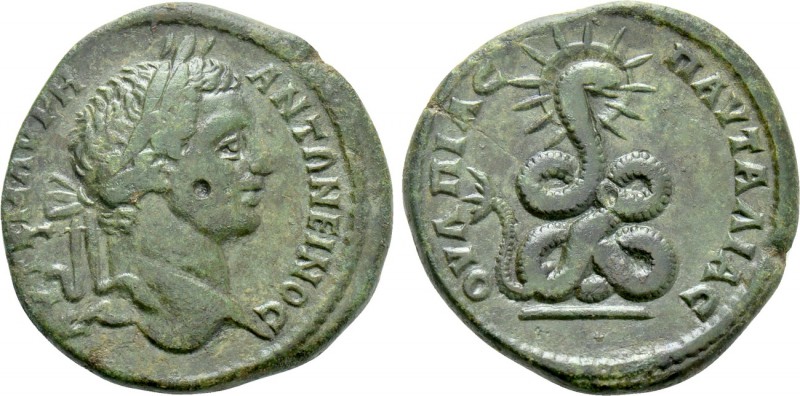 THRACE. Pautalia. Caracalla (198-217). Ae. 

Obv: AVT K M AVPH ANTΩNEINOC. 
L...
