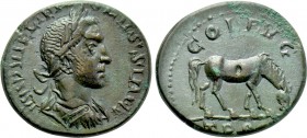 TROAS. Alexandria. Volusian (251-253). Ae As.