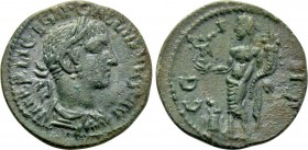 MYSIA. Parium. Gallienus (253-268). Ae.