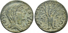CARIA. Attuda. Psuedo-autonomous (3rd century). Ae.