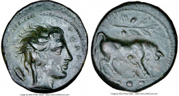 SICILY. Gela. Ca. 420-405 BC. AE tetras (17mm, 10h). NGC XF. ΓΕΛΑΣ, head of river god Gelas right; barley grain behind / Bull butting right; olive bra...