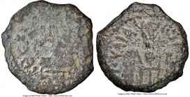 JUDAEA. Roman Procurators. Pontius Pilate (AD 26-36). AE prutah (15mm, 10h). NGC Good. Jerusalem, dated Regnal Year 16 of Tiberius (AD 29/30). TIBEPIO...