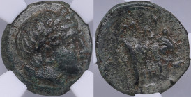 Island of Lesbos, Mytilene Æ9 c. 400-350 BC - NGC XF
Very beautiful specimen. Rare condition.
