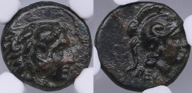 Mysia, Pergamum Æ10 c. 310-250 BC - NGC Ch XF
Very beautiful specimen. Rare condition for this type.