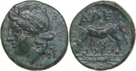 Troas, Alexandreia Æ 3rd century BC
1.48g. 13mm. VF/VF Laureate head of Apollo left / Horse standing left, ΑΛΕ.