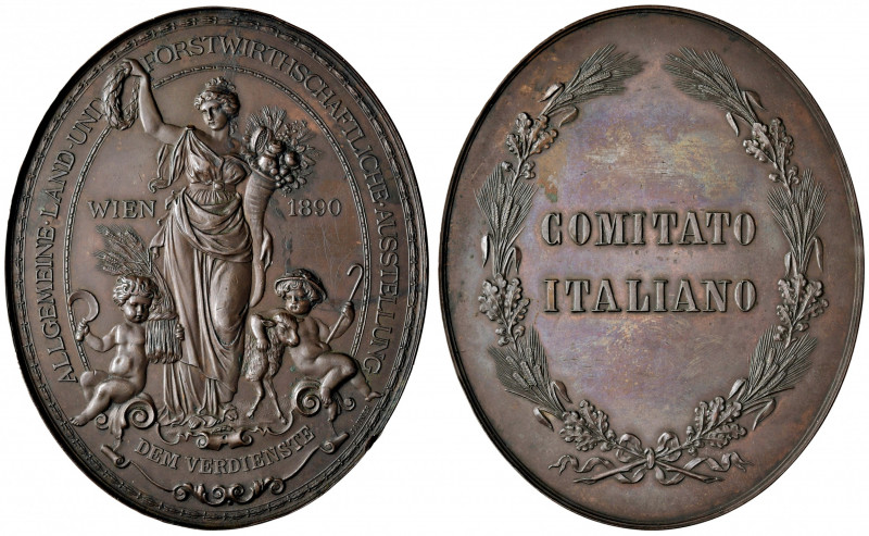 AUSTRIA. Impero Romano Tedesco. Medaglia Ovale 1890. Comitato Italiano a Vienna ...