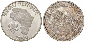 SOMALIA. Repubblica. 10 Dollari 2000. AG (g 31,2). The African Monkey. KM X# 11. 
FDC