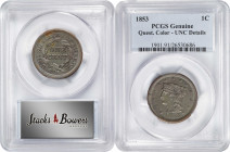 1853 Braided Hair Cent. Unc Details--Questionable Color (NGC).

PCGS# 1901. NGC ID: 226K.