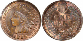 1889 Indian Cent. Snow-1, FS-801. Doubled Die Reverse. MS-63 BN (ANACS).

PCGS# 37549. NGC ID: 228H.

Collector tag with attribution notation incl...