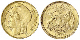 Chile
Republik, seit 1818
5 Pesos 1895. 3,00 g. 917/1000. Interessante Lichtenrader Prägung. vorzüglich/Stempelglanz. Krause/Mishler 153.
