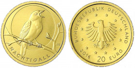 Euro, ab 2002
20 Euro 2016 J. Heimische Vögel - Nachtigall. In Originalsammelschuber mit Zertifikat. 1/8 Unze Feingold. Stempelglanz. Jaeger 608.