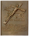 Kalendermedaillen
Einseitige, rechteckige Bronzeplakette 1930. Glückwunsch zum neuen Jahr, B.H. Mayer Hof-Kunstprägeanstalt Pforzheim. 50 X 61 mm. vo...