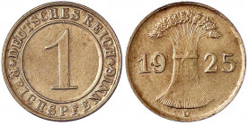 Kursmünzen
1 Reichspfennig, Kupfer 1924-1936
1925 D. fast Stempelglanz. Jaeger 313.